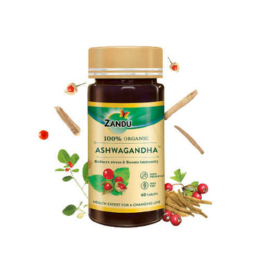 https://cdn.shopify.com/s/files/1/1857/6931/products/TcTPby0Oh3.jpg?v=1671267321